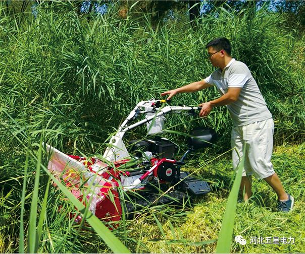 瓦尔特·御虹”WX-800型履带自行走式堤防割草机